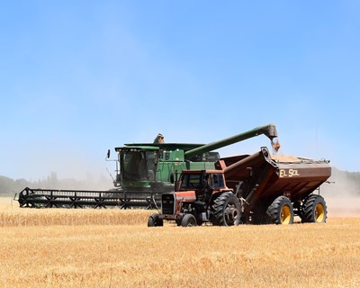 "Automatização na agricultura tende a aumentar", diz relatório