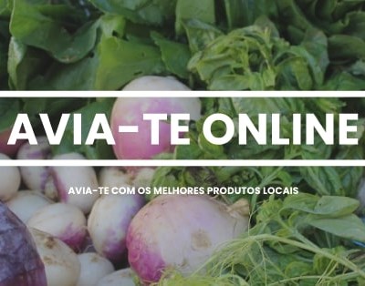 Avia-te online: Nova plataforma para apoiar os produtores portugueses