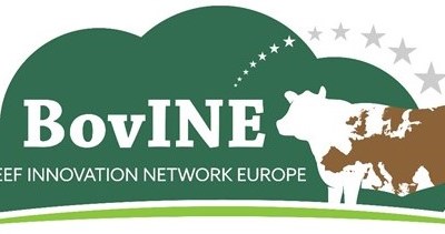 Balanço do primeiro workshop do projeto europeu BovINE é positivo
