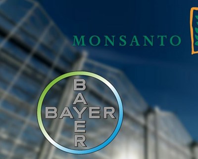 Bayer anuncia extinção da marca norte-americana Monsanto