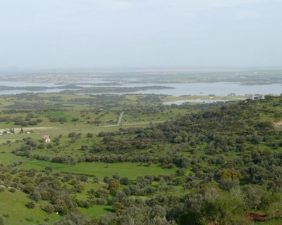 Beja debate sistemas de apoio à decisão na Agricultura de Regadio