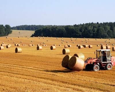 Bruxelas debate o “Futuro da Agricultura”