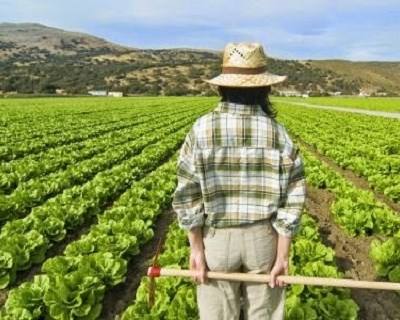 UE obriga a divulgar nomes de agricultores que recebem ajudas comunitárias