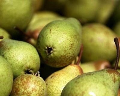 Caldas da Rainha recebe Feira dos Frutos