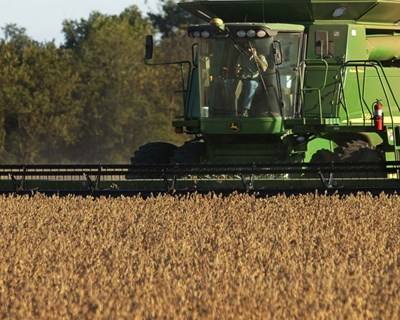 Câmara Agrícola Lusófona quer levar empresários a Moçambique