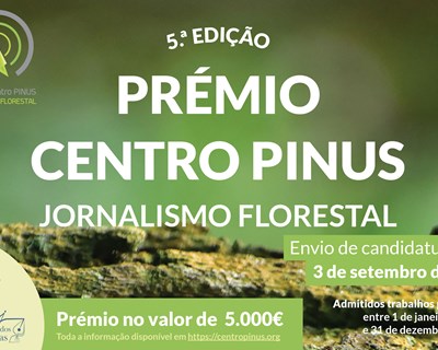 Candidaturas ao prémio Centro Pinus de jornalismo florestal encerram a 3 de setembro