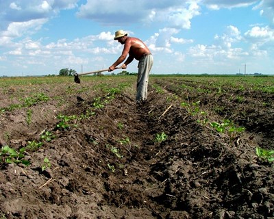 Candidaturas de agricultores a apoios ao investimento terminam hoje