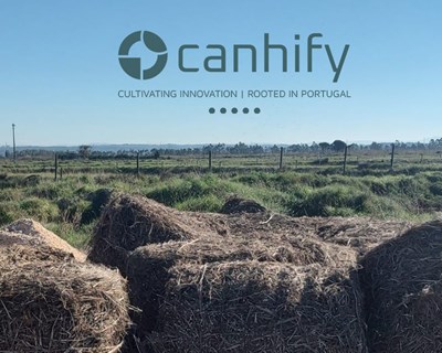 Canhify: Uma nova era de inovação no cânhamo industrial em Portugal