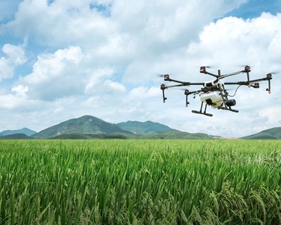 CAP aposta na formação para técnicos: 2º curso de Agricultura de Precisão arranca em novembro