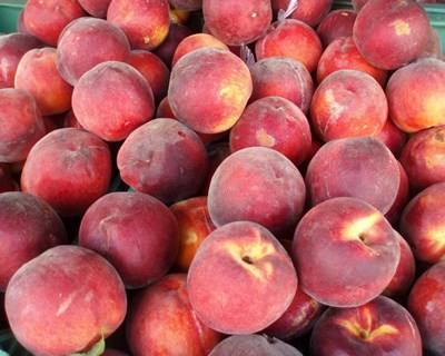CAP lança plataforma de cotações de frutas e hortícolas em mercados grossistas europeus