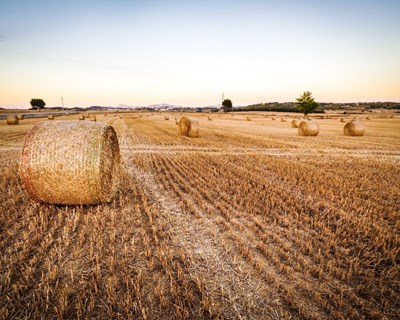 CAP lança serviço de apoio aos agricultores