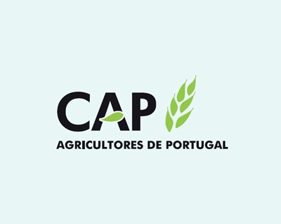 CAP promove Conselhos Consultivos Regionais