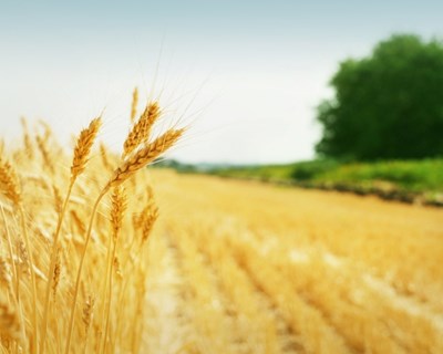 CAP promove formação em “Agricultura Sustentável”
