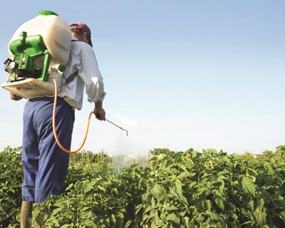 CAP promove webinar para debater o trabalho agrícola em tempo de Covid-19