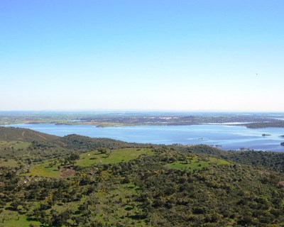 Capoulas Santos promove Alqueva junto dos países árabes