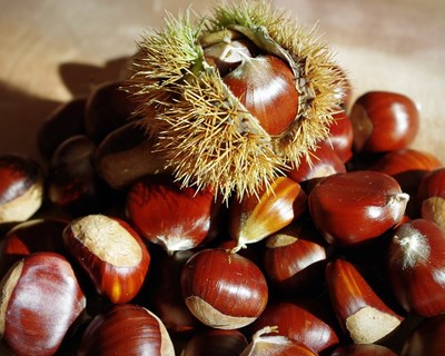 Castanhas são poucas, caras, mas muito desejadas