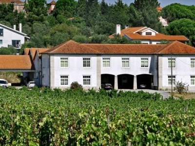 Centro de Estudos Vitivinícolas do Dão celebra 75 anos