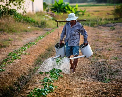 Certificação de agricultor sustentável inicia novas ações em setembro