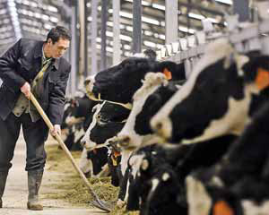 China irá aumentar importação de carne bovina