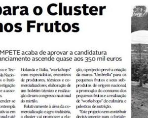 Cluster dos Pequenos Frutos em Portugal