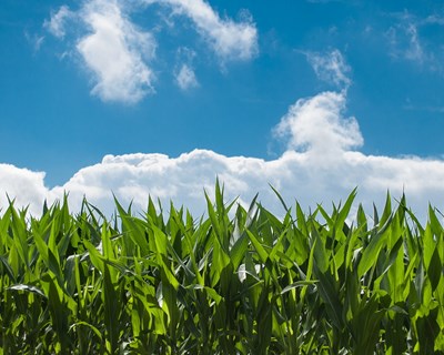 CNA critica demora em implementar Estatuto da Agricultura Familiar