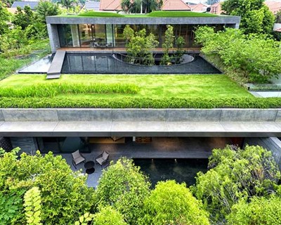 Coberturas verdes e jardins verticais em debate