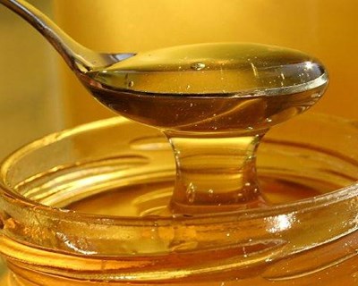 Colheita de mel DOP Serra da Lousã atrasada um mês em ano de más previsões