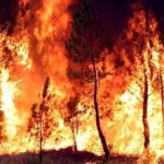 Combate a incêndios florestais vai custar 78 ME