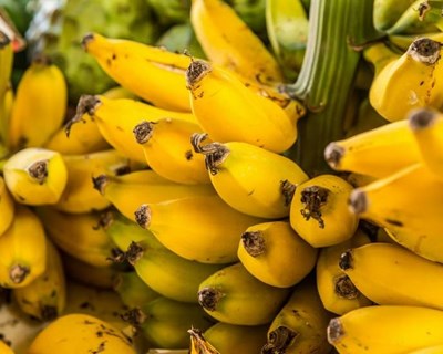 Comércio de banana cai 33% na Madeira