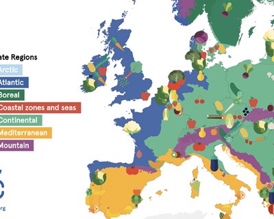 Comidas locais e sazonais: EUFIC lança primeiro mapa interativo de frutas e legumes