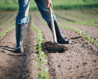 Comissão AGRI organiza audiência sobre inovação para uma agricultura sustentável