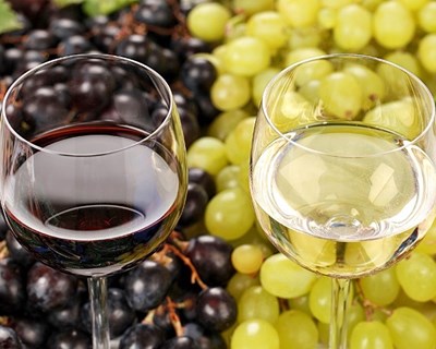 Comissão Europeia alarga pacote de medidas de apoio ao setor vitivinícola até outubro