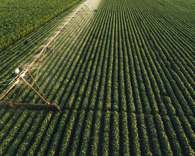 Comissão Europeia aprova primeiros planos estratégicos da PAC