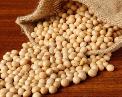 Comissão Europeia autoriza soja geneticamente modificada tolerante a herbicidas