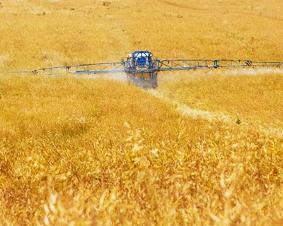 Comissão Europeia proíbe a utilização de pesticida clorpirifós