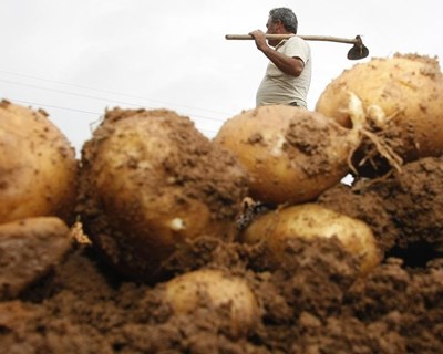 CE quer baixar juros no financiamento bancário aos agricultores europeus