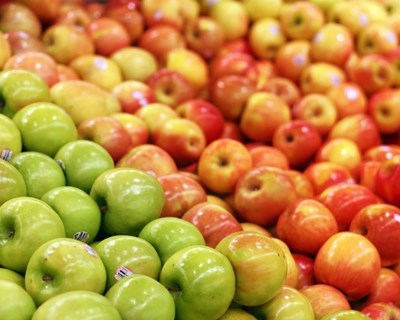 Concluído processo negocial para exportação de maçãs para a Nicarágua
