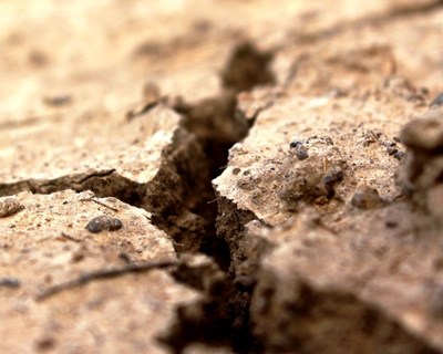 CONFAGRI apresenta à Ministra propostas para minorar efeitos da seca