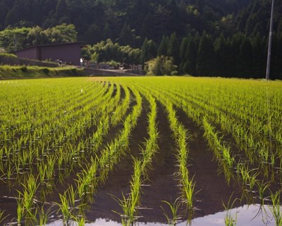 CONFAGRI e CA promovem antecipação do pagamento das ajudas aos agricultores