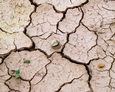 CONFAGRI apresenta à Ministra da Agricultura propostas para minorar efeitos da seca