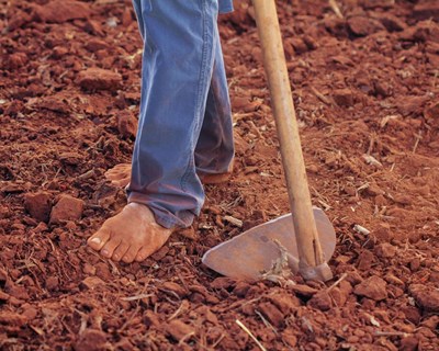 Congresso Ibérico de Solos e Desenvolvimento Sustentável