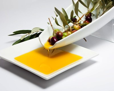 Congresso Nacional do Azeite em Santarém