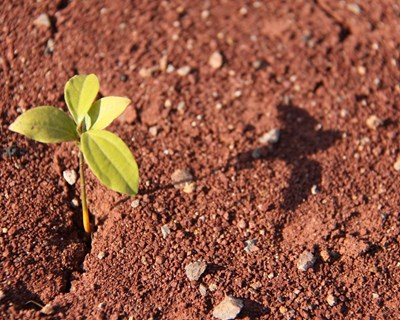 Conheça as previsões agrícolas em outubro