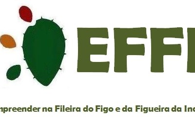 Conheça o Projeto EFFI: Empreender na fileira do figo e da figueira da Índia
