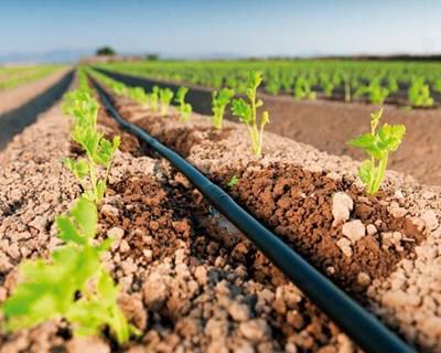 Conselho de Agricultura da UE debate cadeia alimentar e agricultura biológica