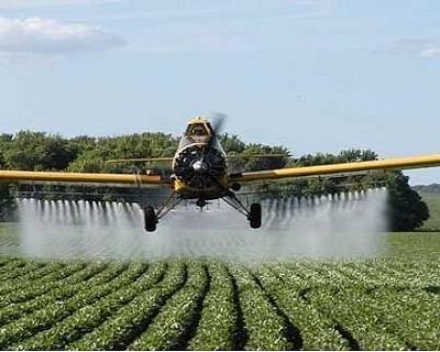 Contaminação da água por inseticidas agrícolas é subestimada, segundo estudo alemão