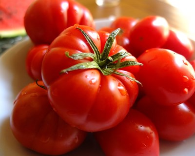 Contratos de transformação para o tomate indústria até 1 de fevereiro
