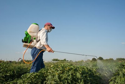 Cooperativas agrícolas apoiam o governo na desinfeção de espaços públicos