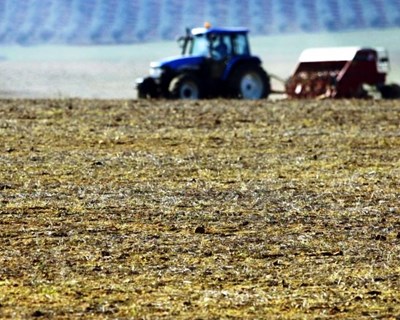 Cooperativas agrícolas europeias criticam novas estratégias da União Europeia