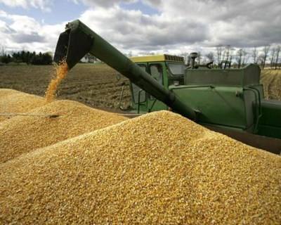 Produção de cereais na UE vai descer 7.5%